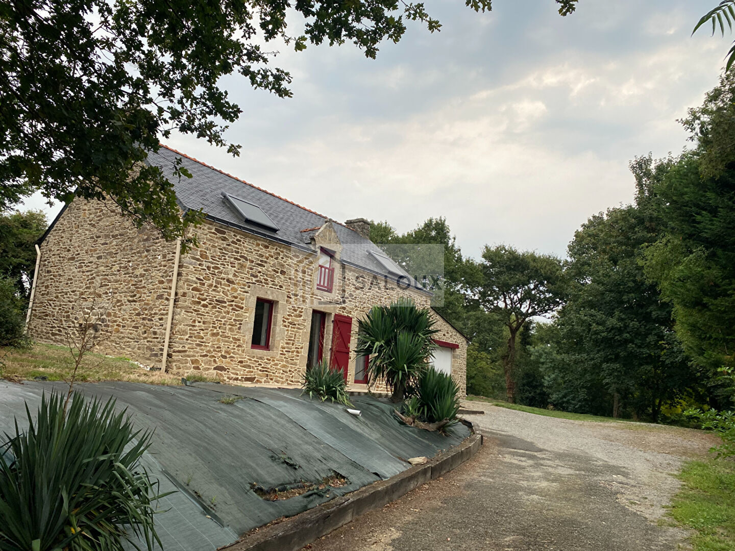 Property view